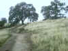 IMG_0056.JPG (106728 bytes)