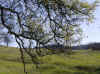 Upper Bidwell Park 03.09.09