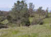 Upper Bidwell Park 03.09.09
