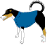 wpeA.gif (3704 bytes)