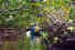 090408Kayak_small.jpg (1805 bytes)