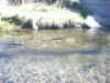 IMG_0002.JPG (129612 bytes)