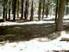 IMG_0004.JPG (142385 bytes)