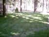 IMG_0005.JPG (115763 bytes)