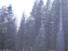 IMG_0019.JPG (94726 bytes)