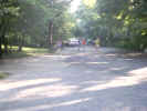 centralpark02.JPG (82283 bytes)
