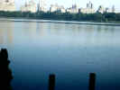 centralpark04.JPG (77765 bytes)