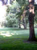 centralpark09.JPG (123443 bytes)