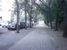 centralpark101.JPG (111348 bytes)