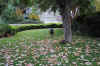 DSC_0017_small.jpg (58356 bytes)