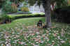DSC_0018_small.jpg (57671 bytes)