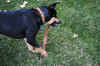 DSC_0022_small.jpg (65437 bytes)