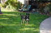 DSC_0024_small.jpg (51902 bytes)
