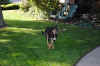 DSC_0025_small.jpg (39895 bytes)