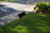 DSC_0026_small.jpg (35305 bytes)
