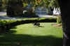 DSC_0029_small.jpg (43518 bytes)