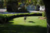 DSC_0030_small.jpg (45336 bytes)