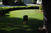 DSC_0031_small.jpg (36716 bytes)