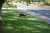 DSC_0032_small.jpg (48073 bytes)