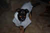 DSC_0049_small.jpg (21644 bytes)
