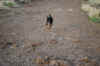 DSC_0044_small.jpg (44864 bytes)