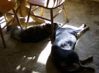 Bronxie & Madrid - March 2009