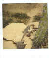 Scan479, September 09, 2005 (4).jpg (74361 bytes)