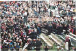 Wednesday, May 24, 2006 (C09).jpg (484253 bytes)