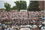 Wednesday, May 24, 2006 (C38).jpg (503620 bytes)
