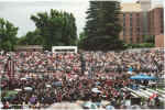 Wednesday, May 24, 2006 (C41).jpg (511056 bytes)